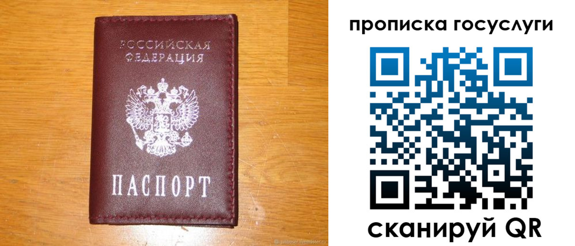 найти адрес прописки в Сертолово