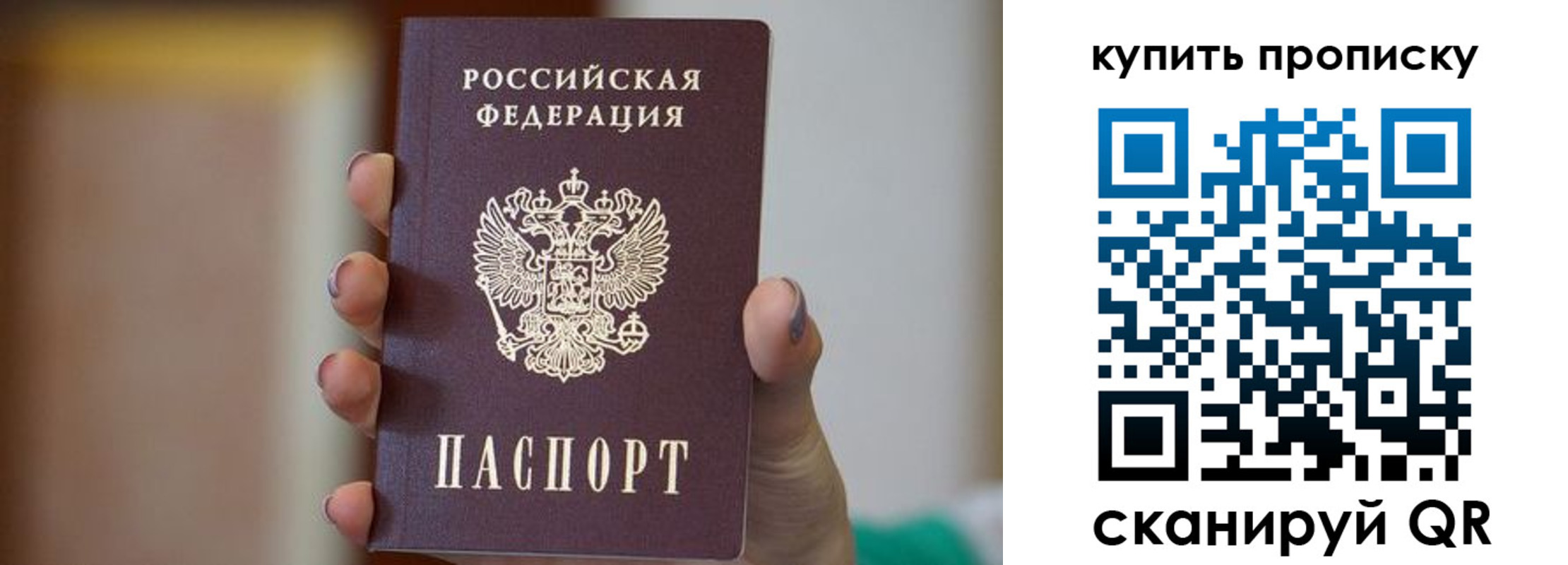 найти адрес прописки в Сертолово